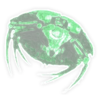 Scarab Swarm portrait
